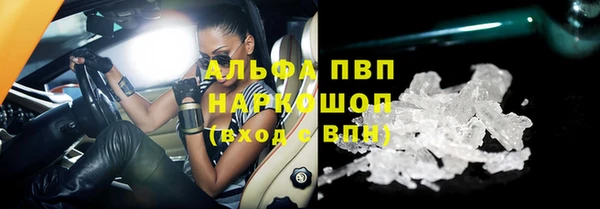 прущие грибы Билибино