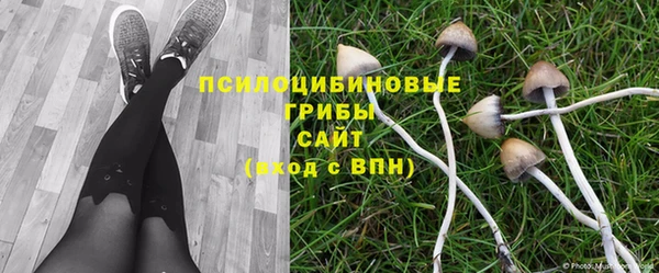 мяу мяу мука Бородино
