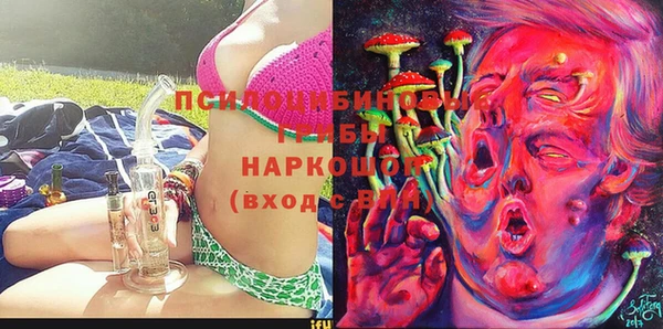 мяу мяу мука Бородино
