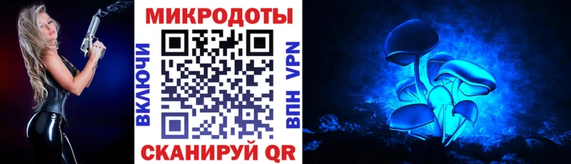 где продают наркотики  блэк спрут как войти  Псилоцибиновые грибы мицелий  Волгореченск 
